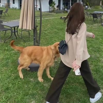 狄仁杰之神都龙王